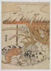 Cuccioli nella neve, periodo Edo, 1778